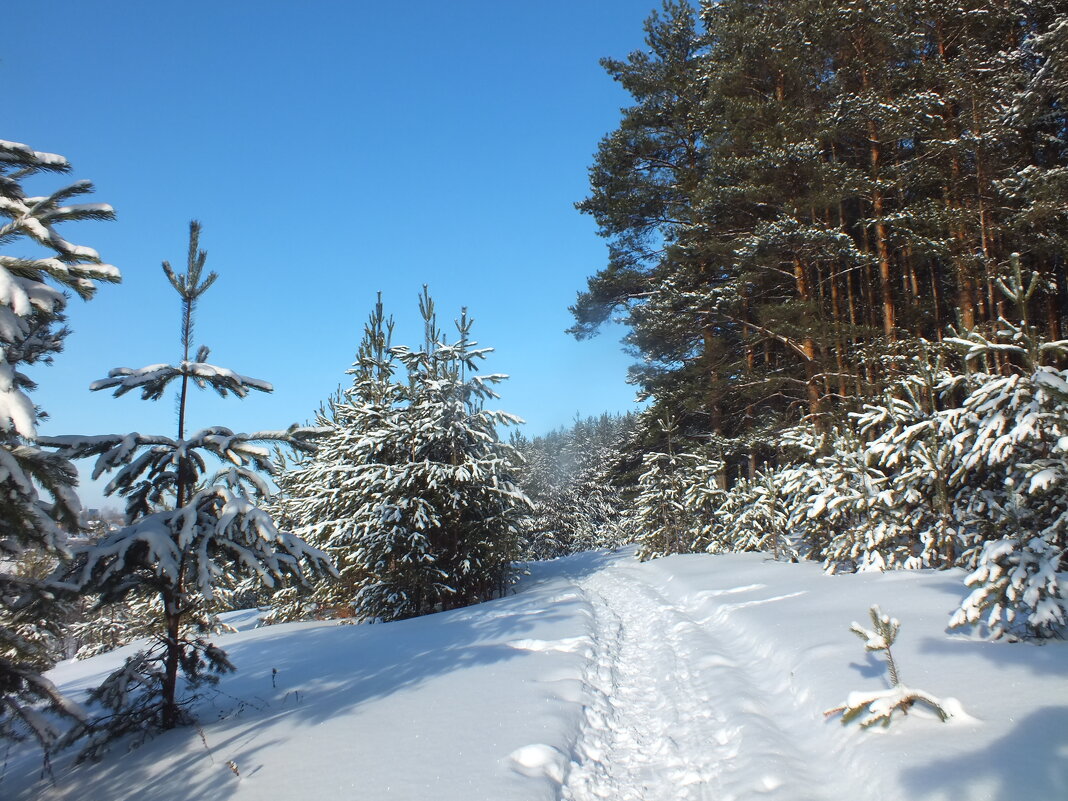 *** - Зоя Мишина