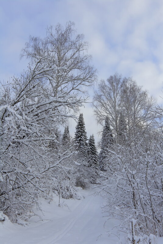 Первый день зимы - Нина северянка