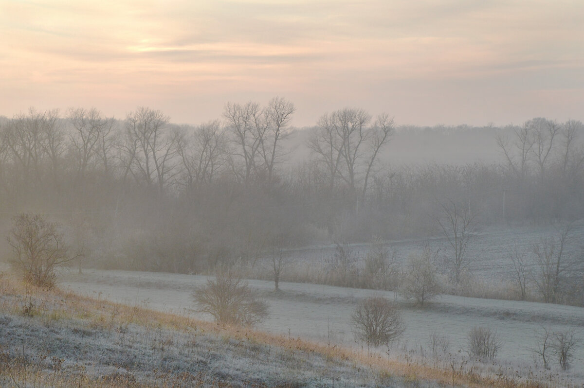Осеннее утро...туманно-задумчивое... - Надежда Куркина 