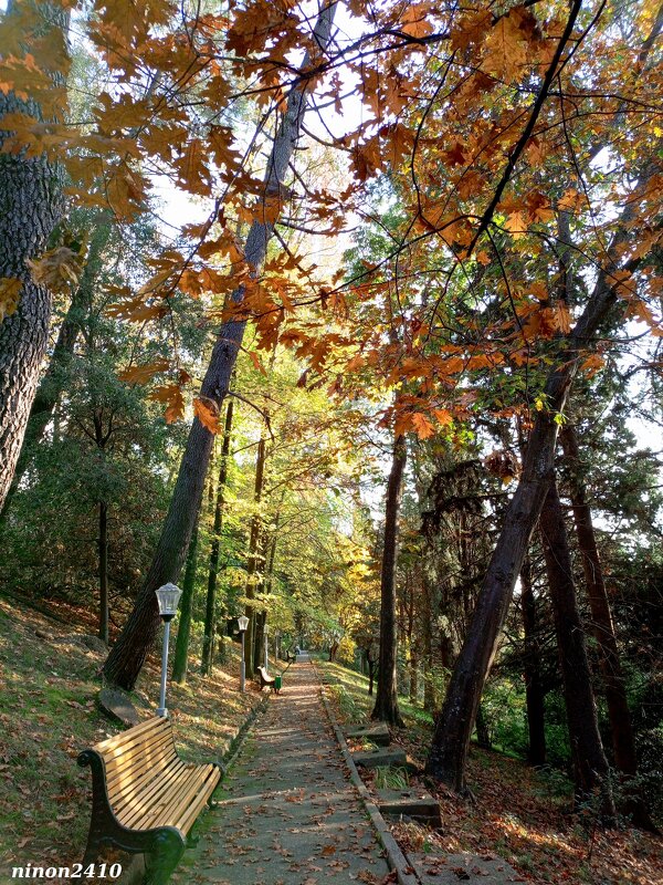 Адлер. Пансионат "Орбита" - Нина Бутко