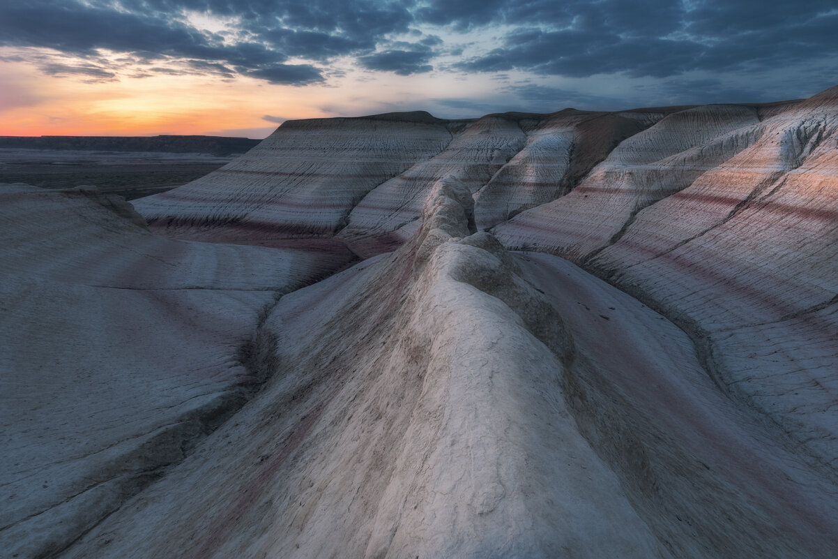 По дороге за утренним пирожным - Дмитрий Шишкин