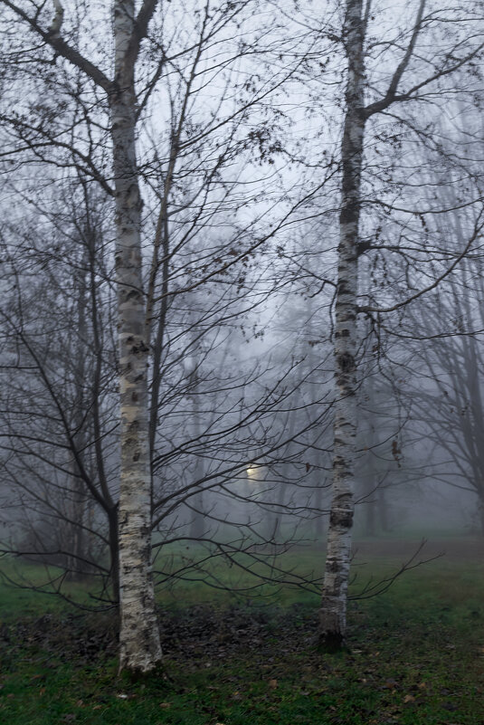 *** - Игорь Протасов