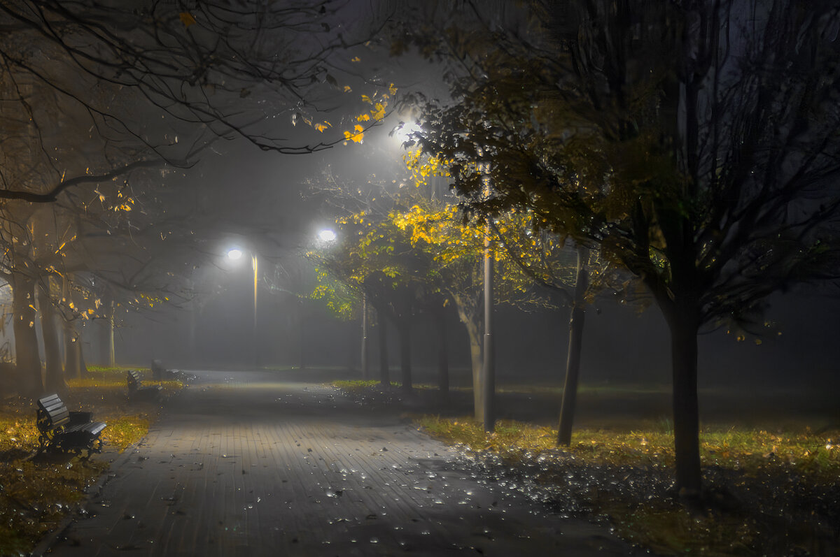 Туман - Игорь Протасов