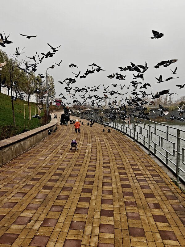 Ростовские зарисовки - Александр Гапоненко