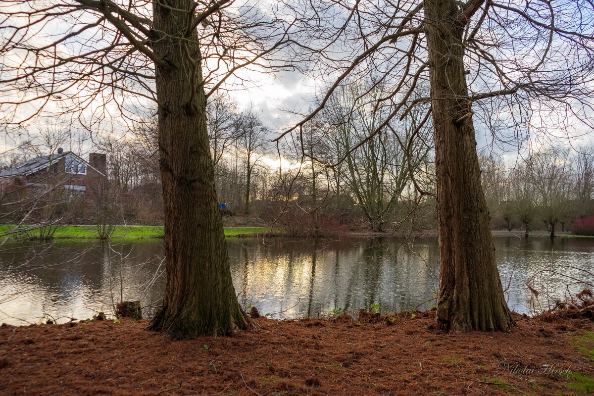 Два брата... - Николай Гирш