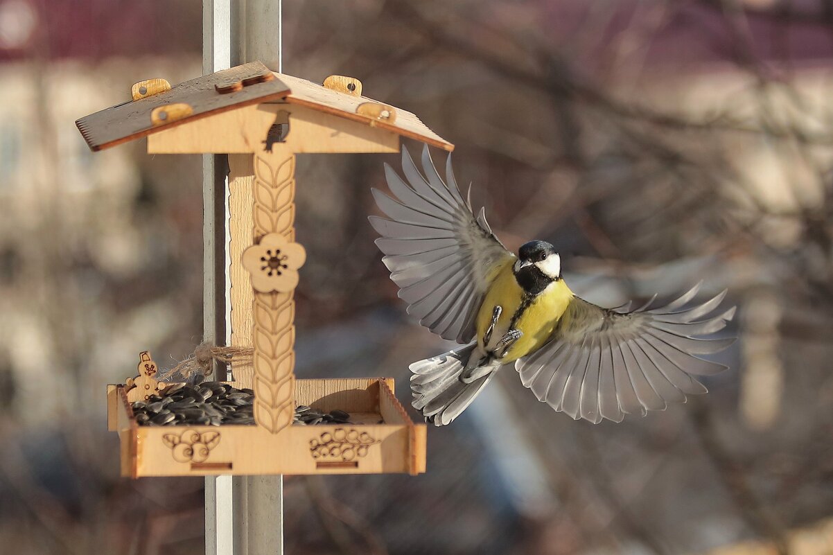 А так, красиво? - Татьяна Бравая