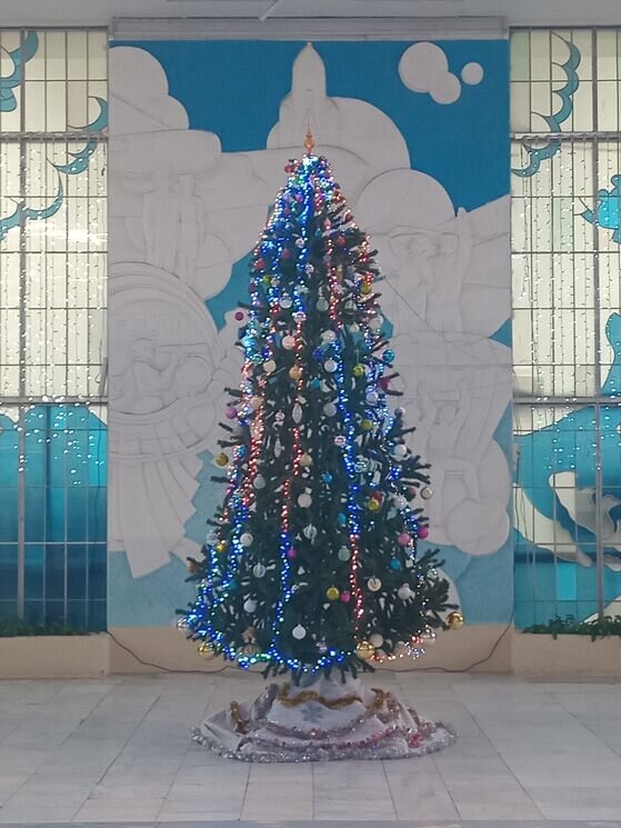 Это наша ёлка - Дмитрий Никитин