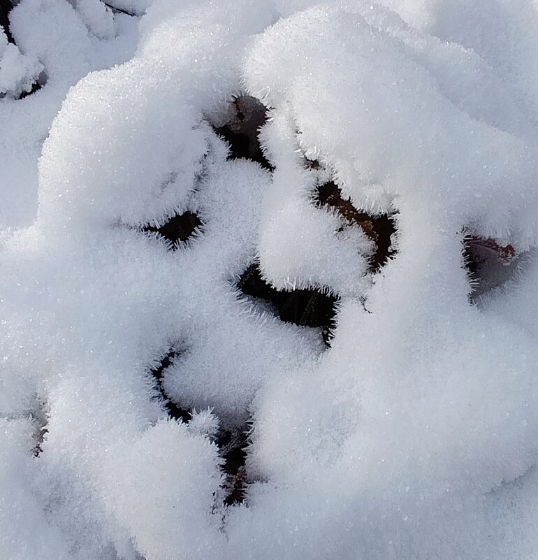 Внезапный снегопад - tatiana Внезапный снегопад - tatiana