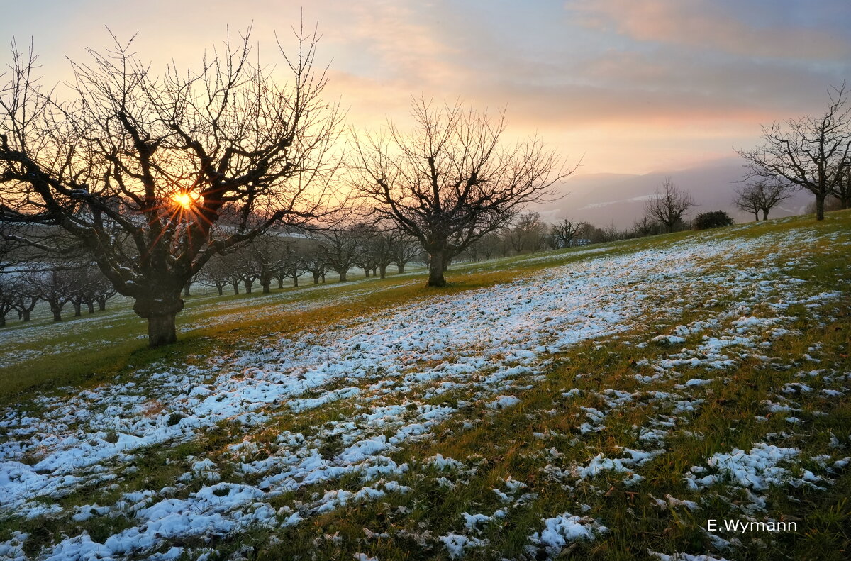 sunset - Elena Wymann