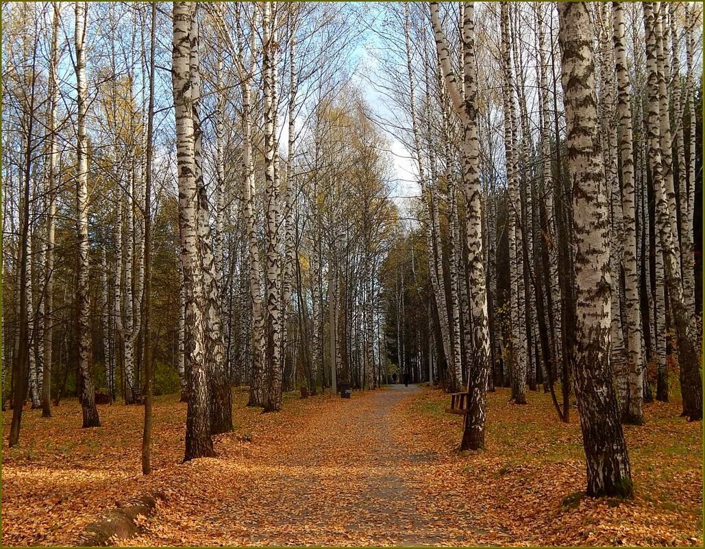 Осенний парк ... - Валентина Надсон