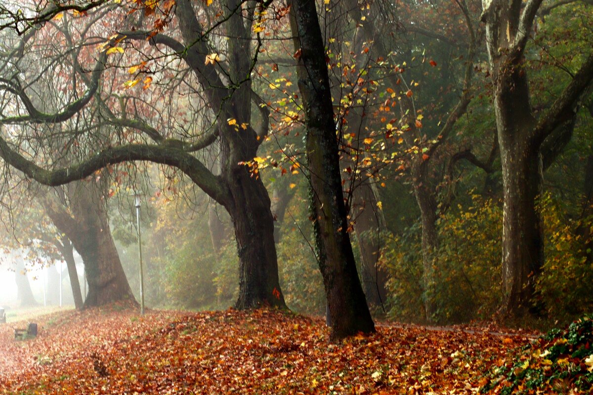 Осенний день опять гуляет в парке - Юрий. Шмаков