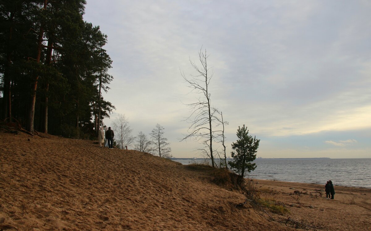 Репино - Наталья Герасимова