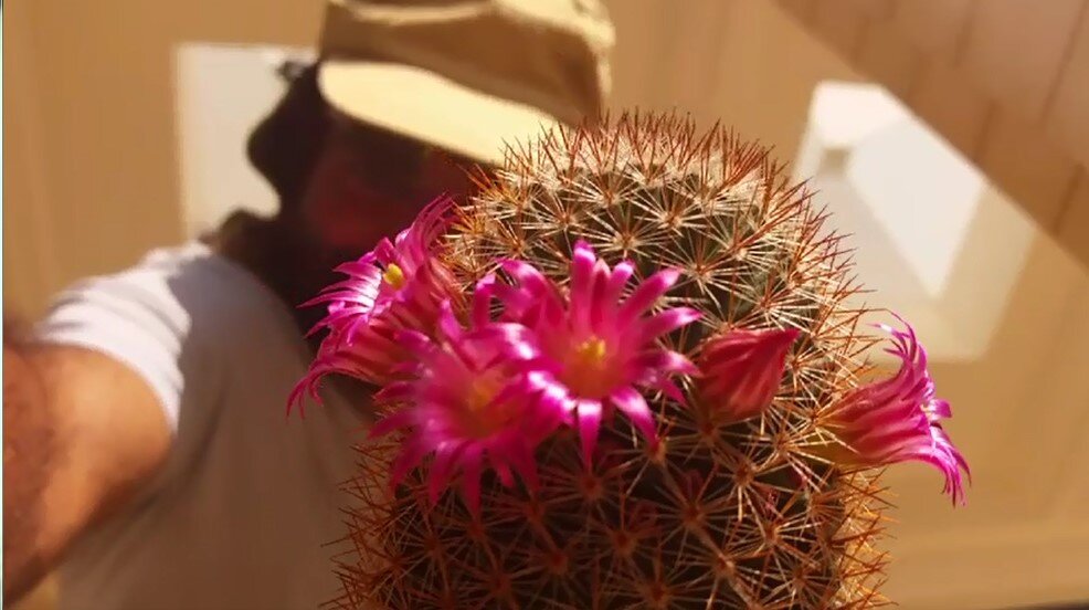 114 (180) - CLOSE WAYS ALL