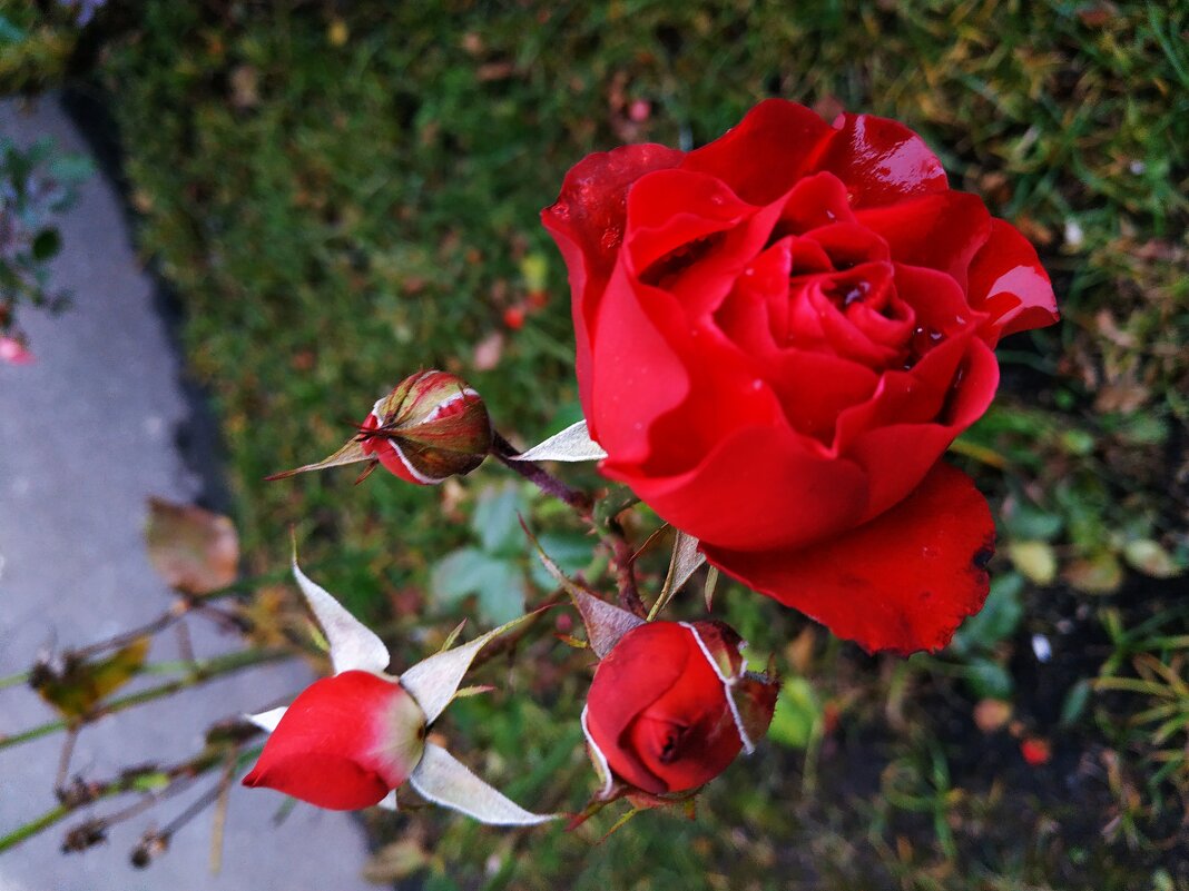 Самая стойкая! - Андрей Лукьянов