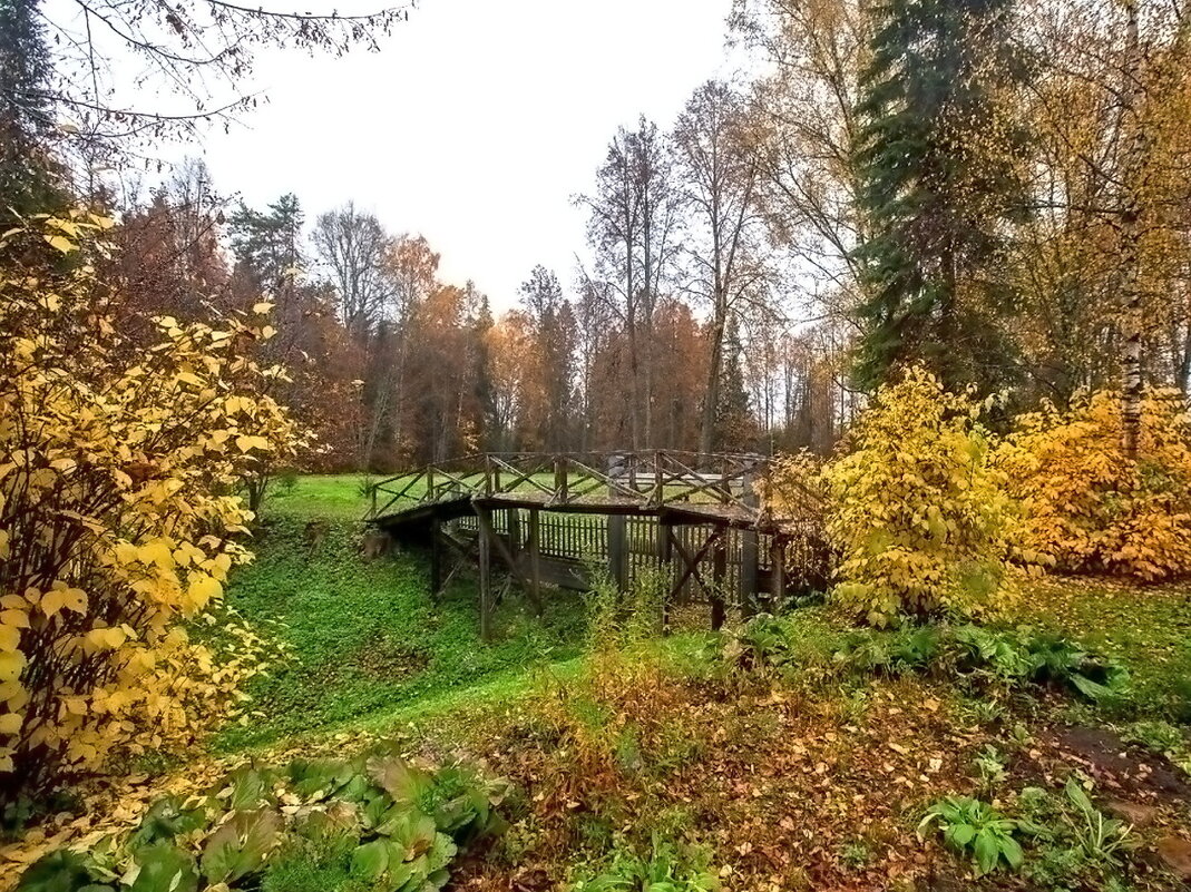 Парк музея-заповедника «Щелыково». - Ольга Довженко