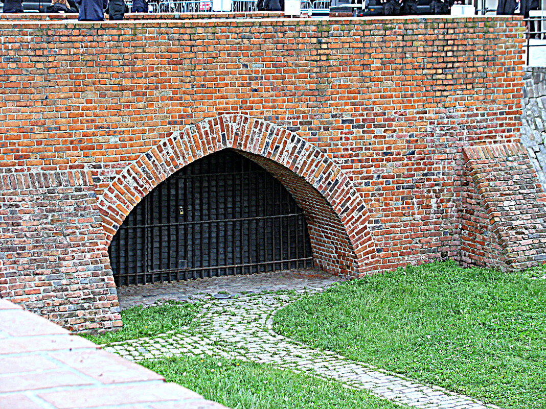 Варшава. - Владимир Драгунский