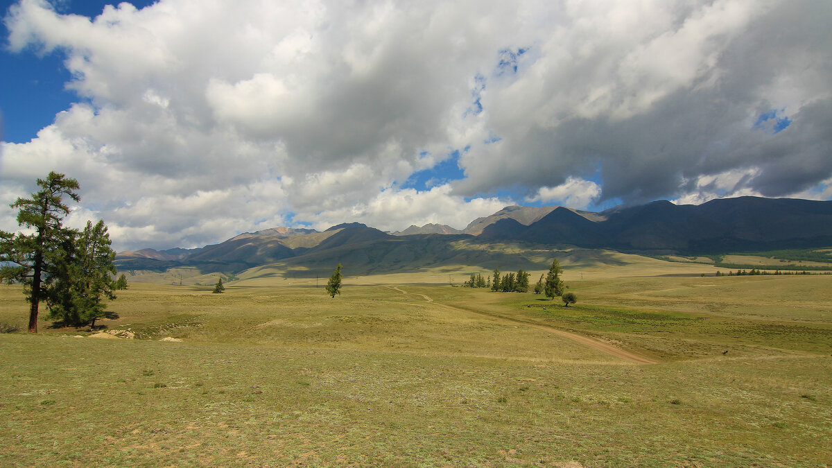 По Курайской степи - Владимир Кириченко По Курайской степи - Владимир Кириченко
