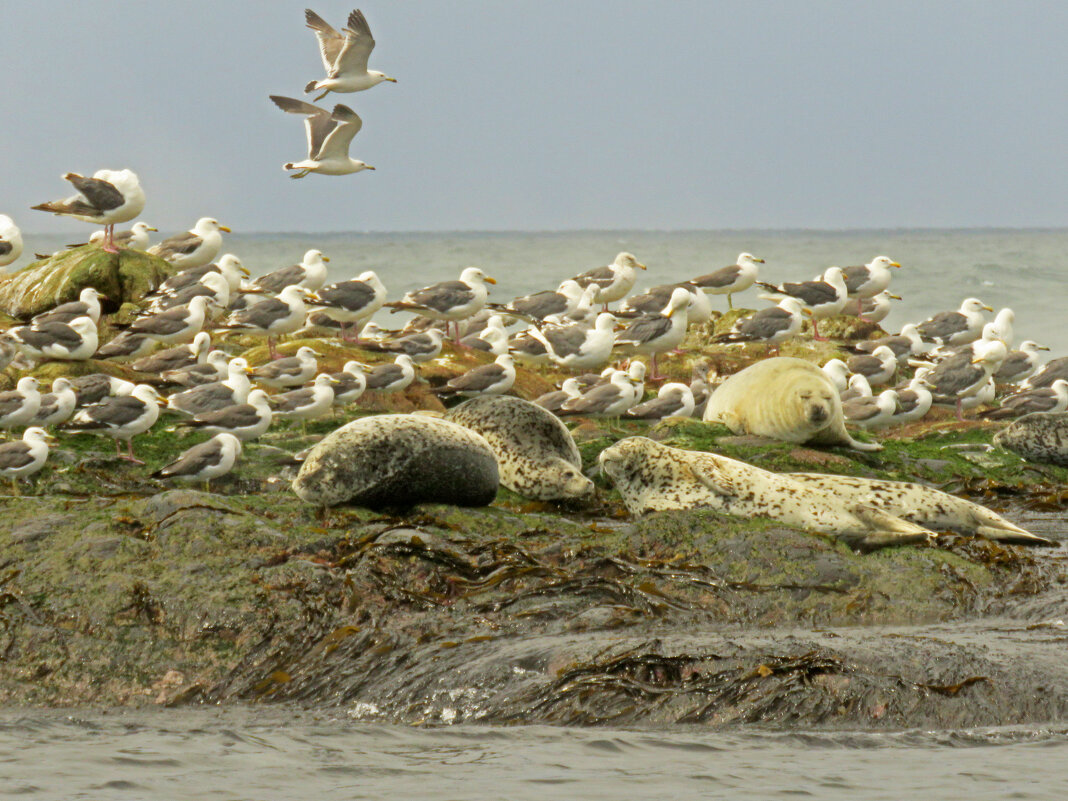 мы с тобой одной крови... - ИРЭН@ .