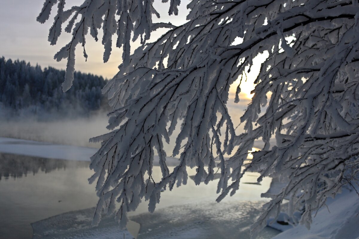 В зимних шубках - Ольга 
