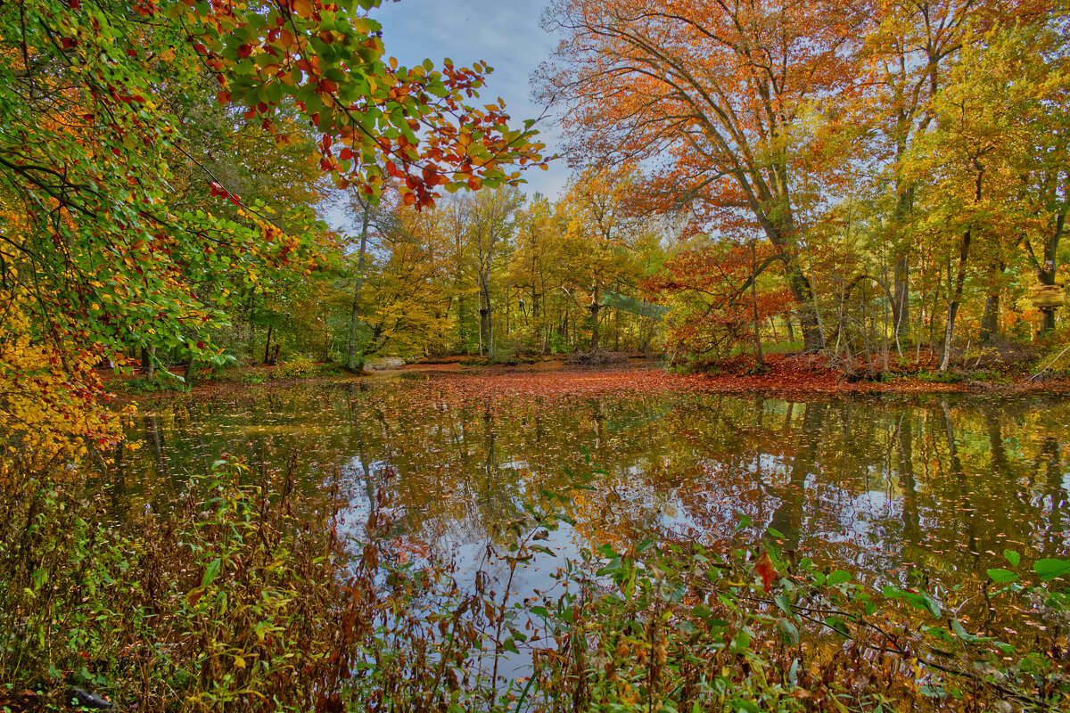 Пруд - Jakob Dick