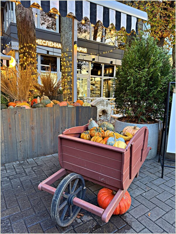 Осенний урожай. - Валерия Комова