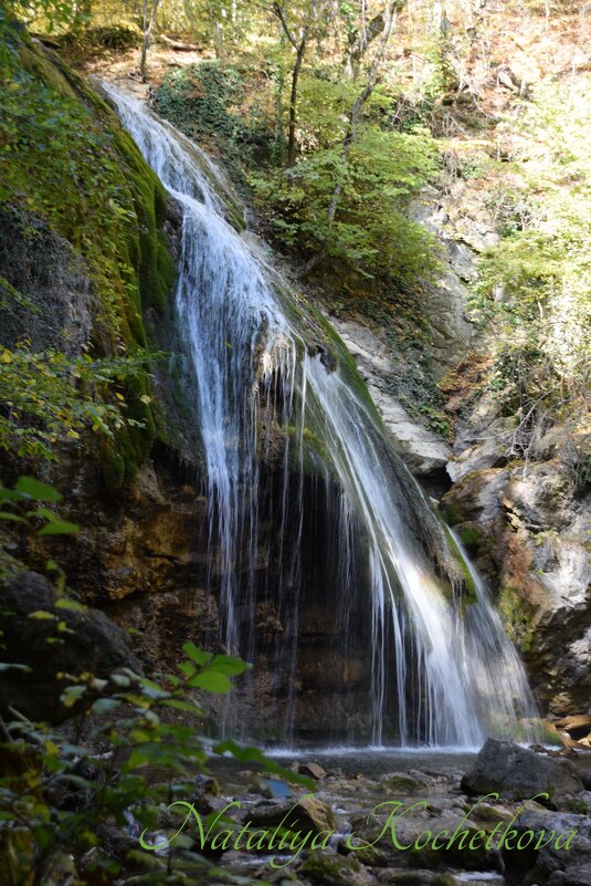 Природа Крыма - Amazing Cosmea Природа Крыма - Amazing Cosmea