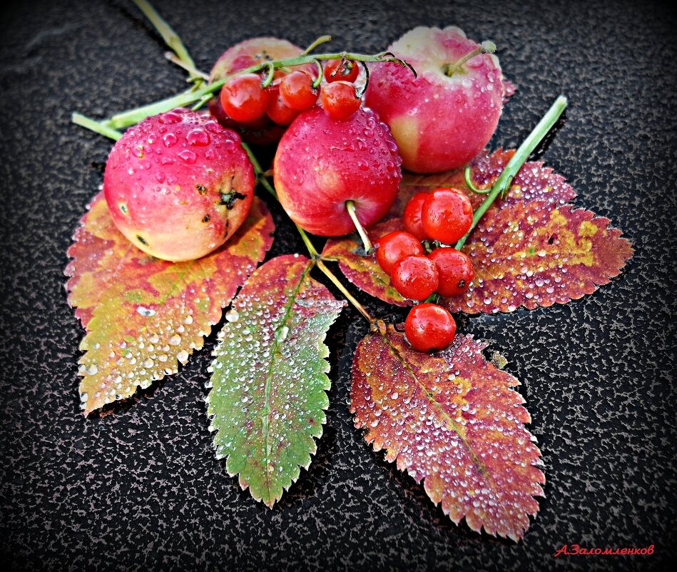 О натюрмортах поздней осени.. - Андрей Заломленков
