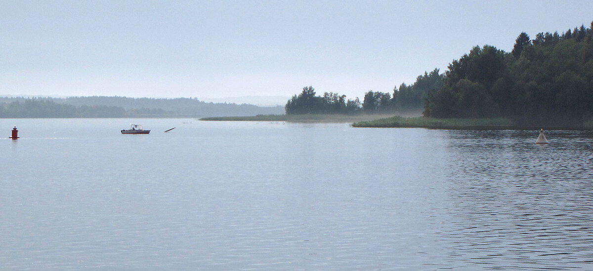 Шекснинское водохранилище - Александр Ильчевский 