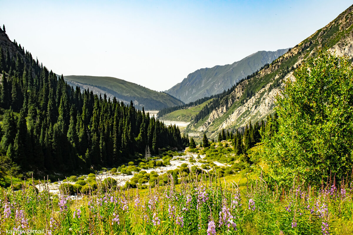 Б.А.К. - HART BAD