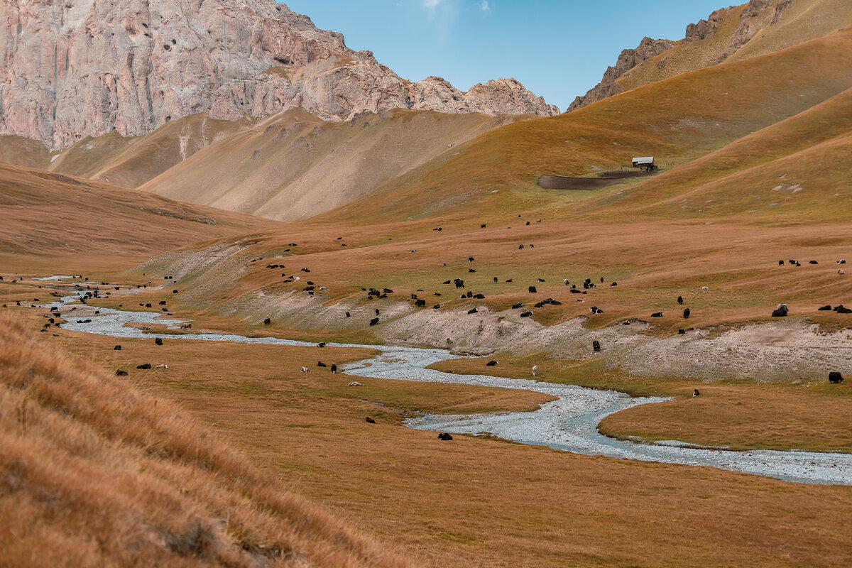 Киргизия - Андрей Щукин