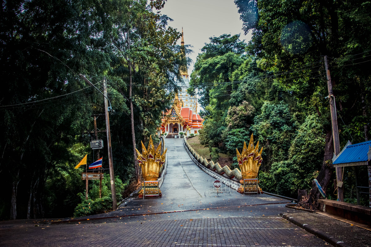 Алея - Максим 