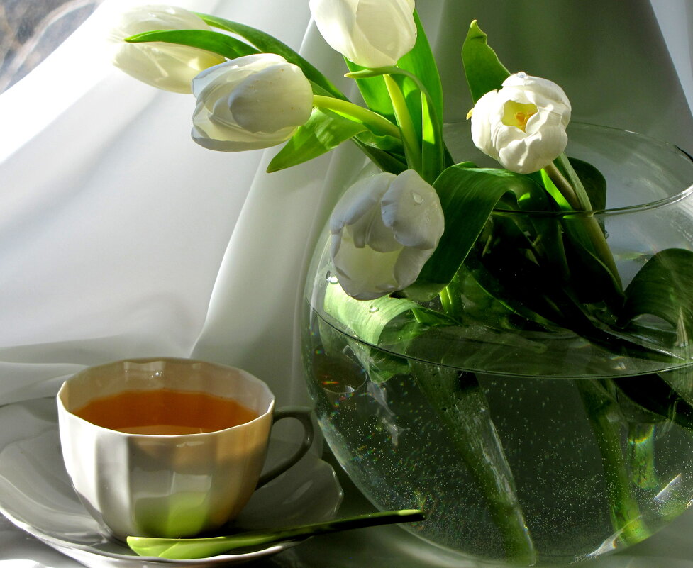 Натюрморт - жанна нечаева