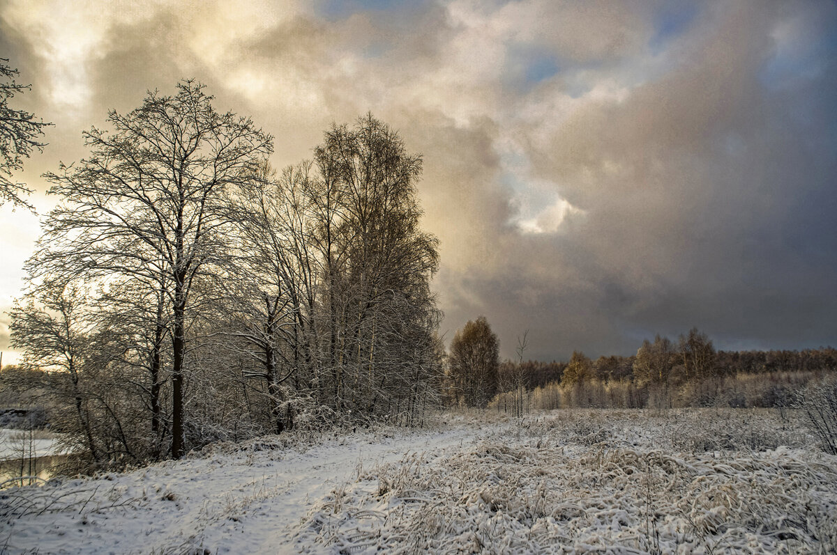 После снегопада . - Александр Иванович Шитов