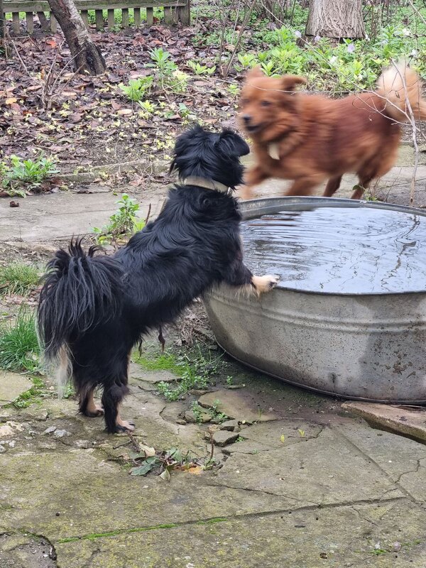 Пробегая мимо... - Наталья 