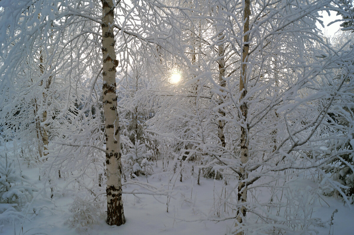 Морозно - Сергей Ц