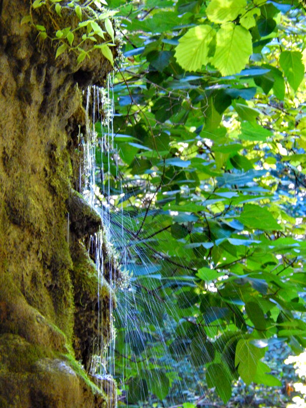 Водопадик - Павел Трунцев