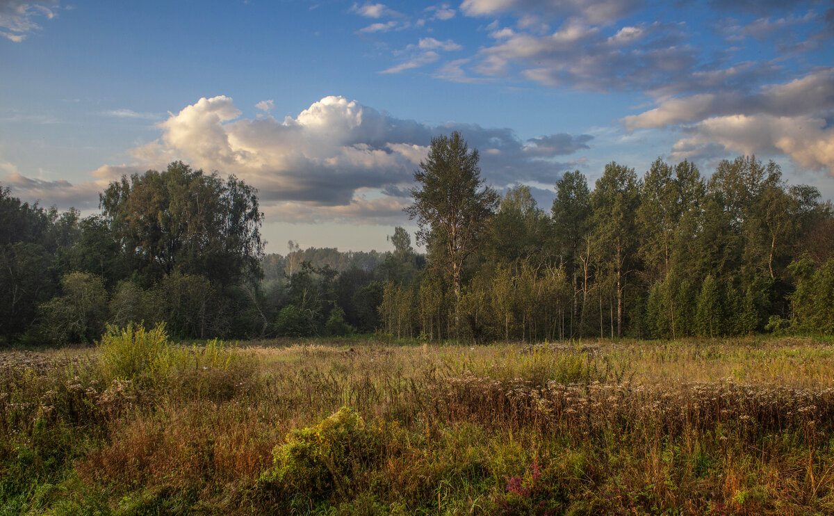 Утро. - Александр. AVG100 ---