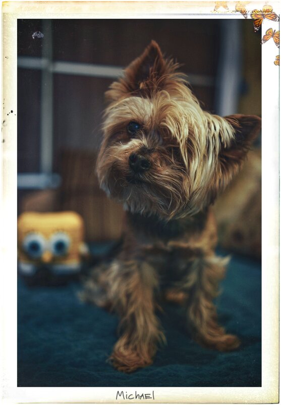 Майкл - Сергей В