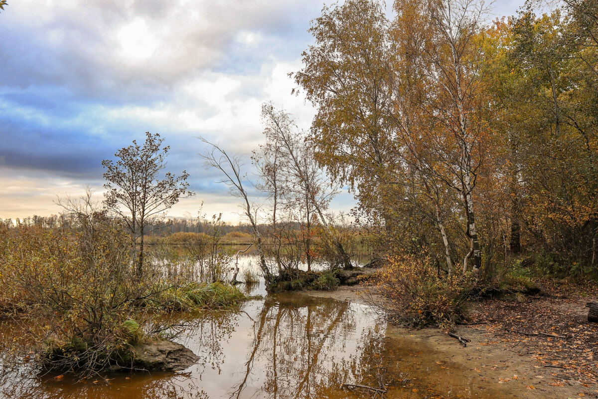 Юнтолово - skijumper Иванов
