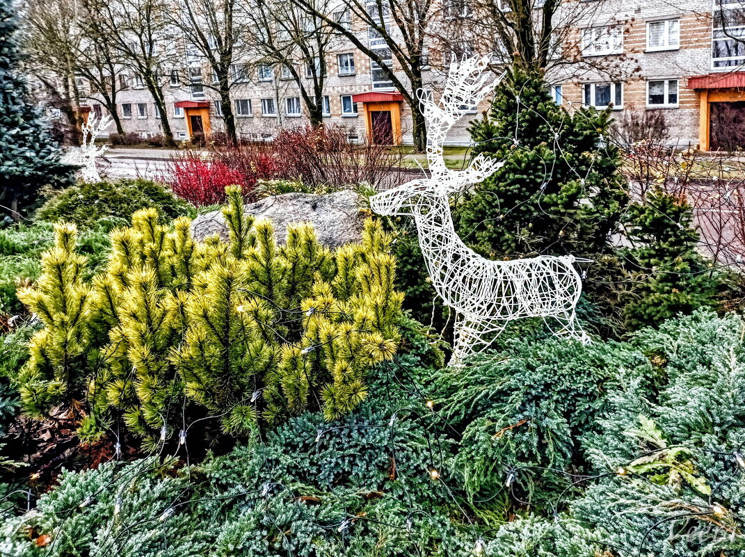 Предпразничная зарисовка - Veera V Предпразничная зарисовка - Veera V