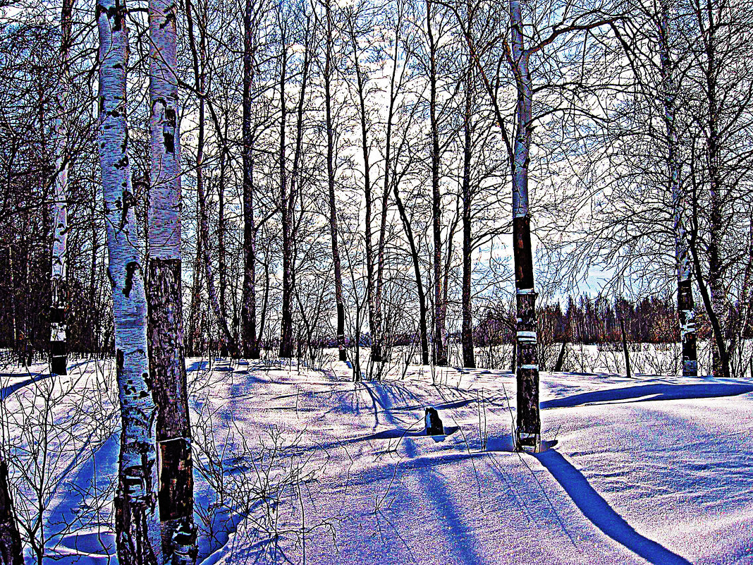 До весны еще далеко! - Владимир 