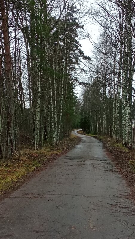 Вот такой декабрь - Ольга Попова (popova/j2011)