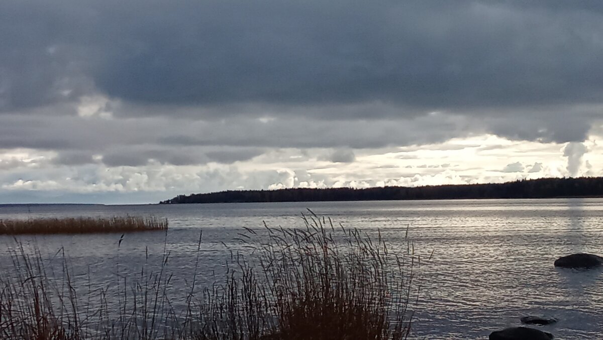 *** - Ольга Попова (popova/j2011)