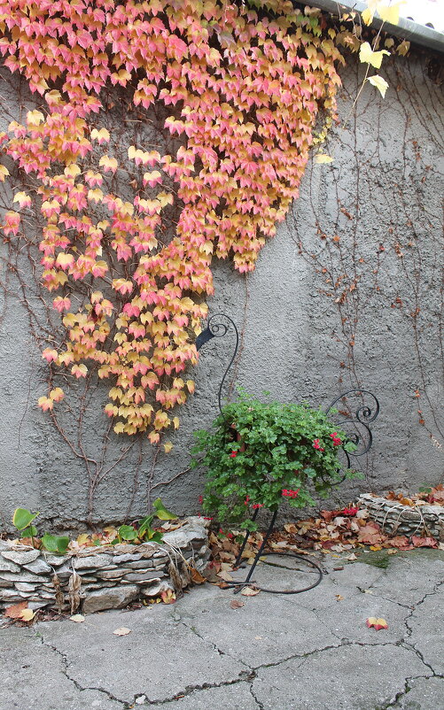 Осень пришла - Ирина 