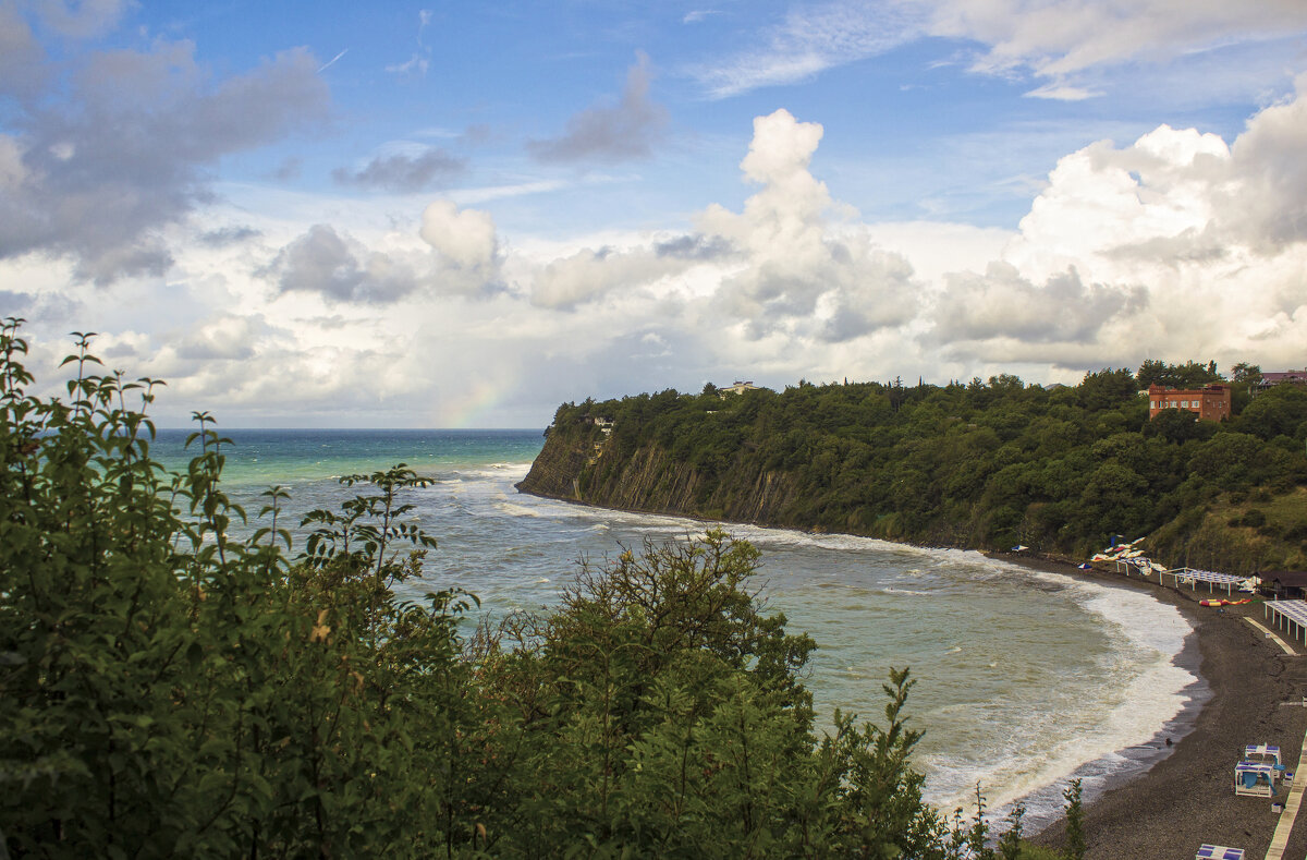 Бетта. - Александр 