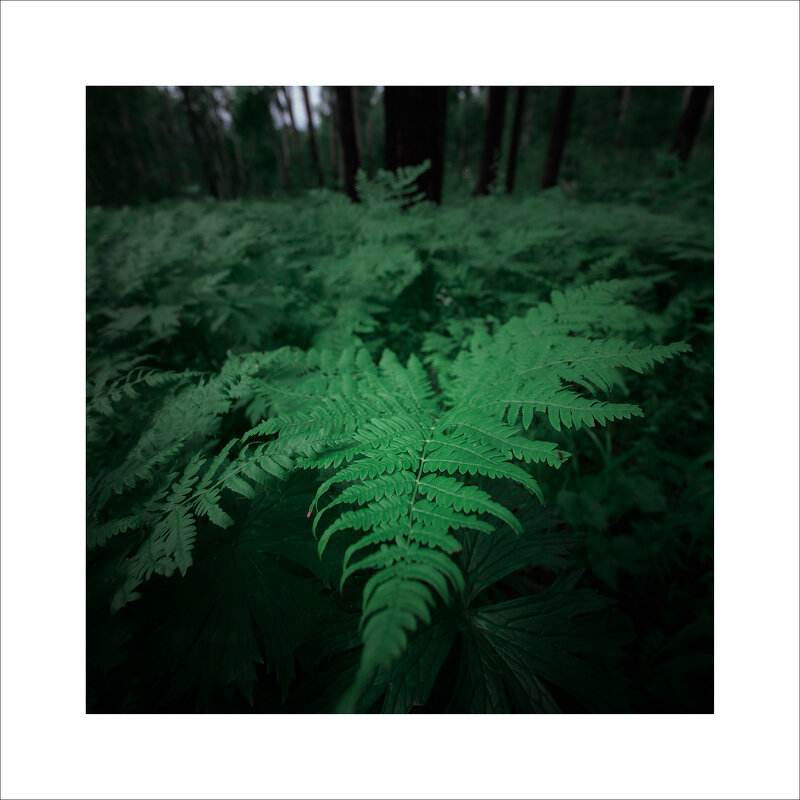 * - Александр Иванов