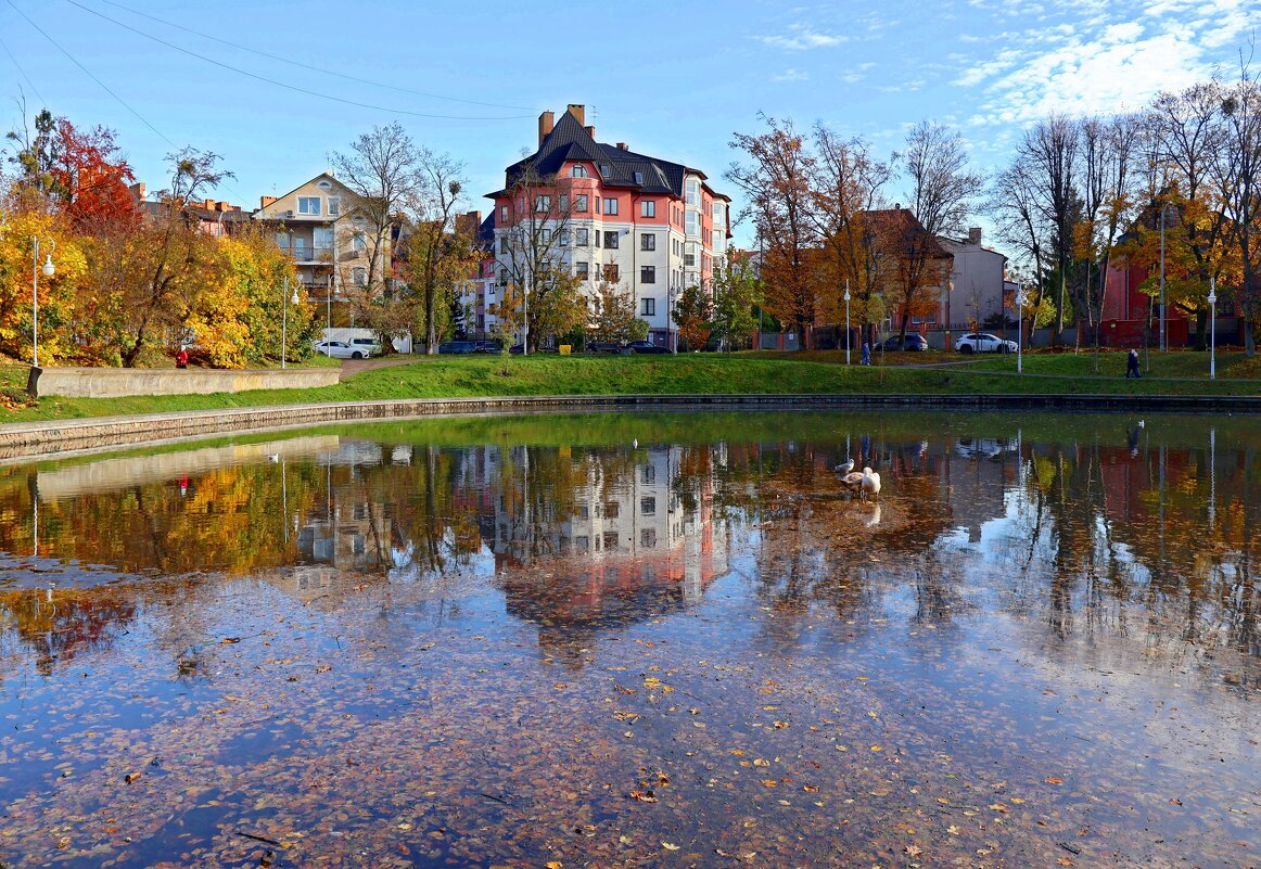 Зоологический пруд - Сергей Карачин
