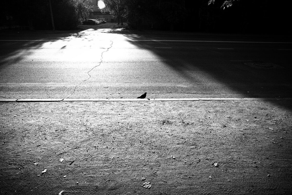 Фотография - Денис Безногов