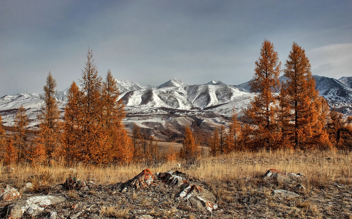 Курайские ландшафты - елена беликова