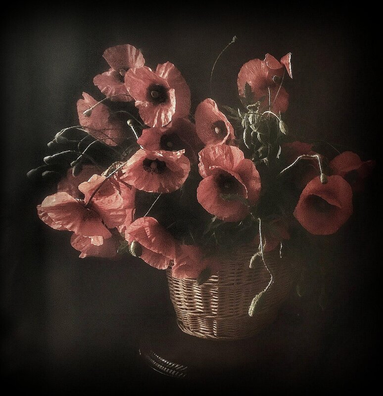 Корзина нежности.....Или привет из лета! - TAMARA КАДАНОВА